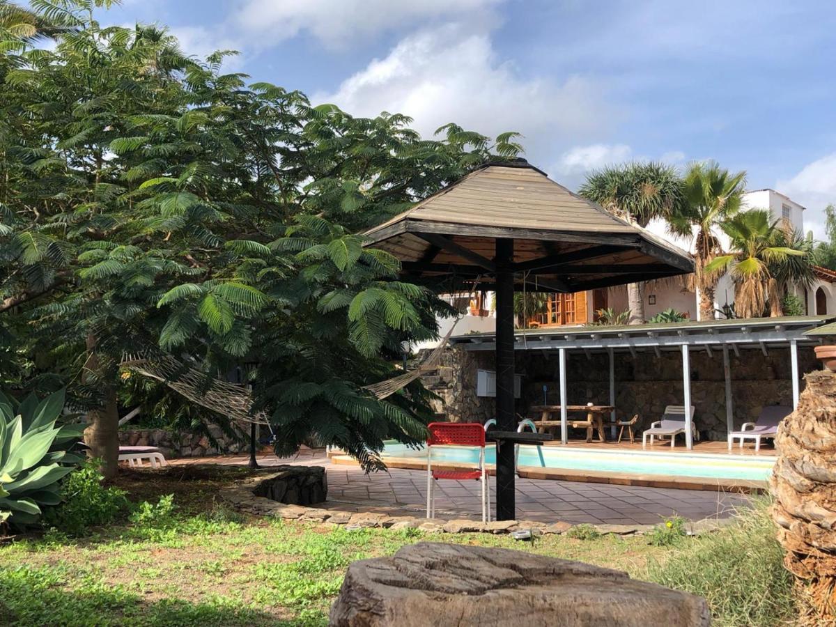 Palmeras Ingenio Exterior foto