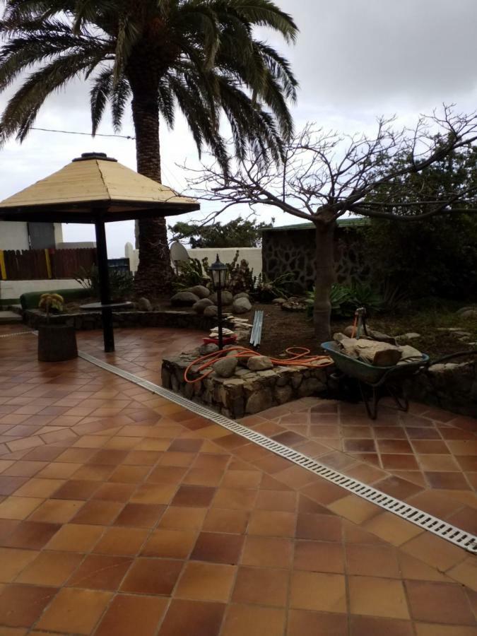 Palmeras Ingenio Exterior foto
