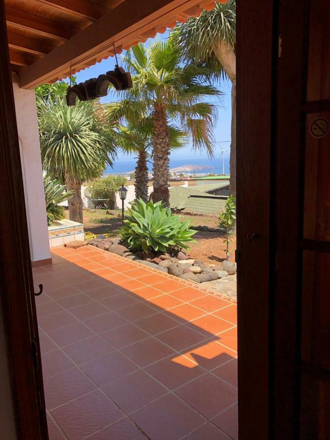 Palmeras Ingenio Exterior foto