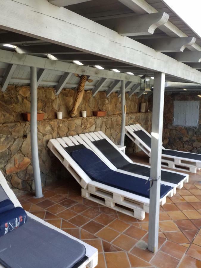 Palmeras Ingenio Exterior foto